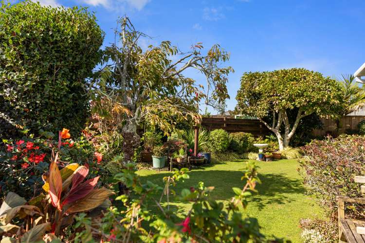 26b Hibiscus Avenue Mount Maunganui_18