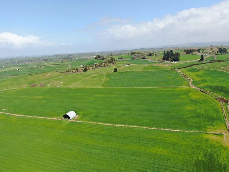 1375 State Highway 3 Otorohanga_22