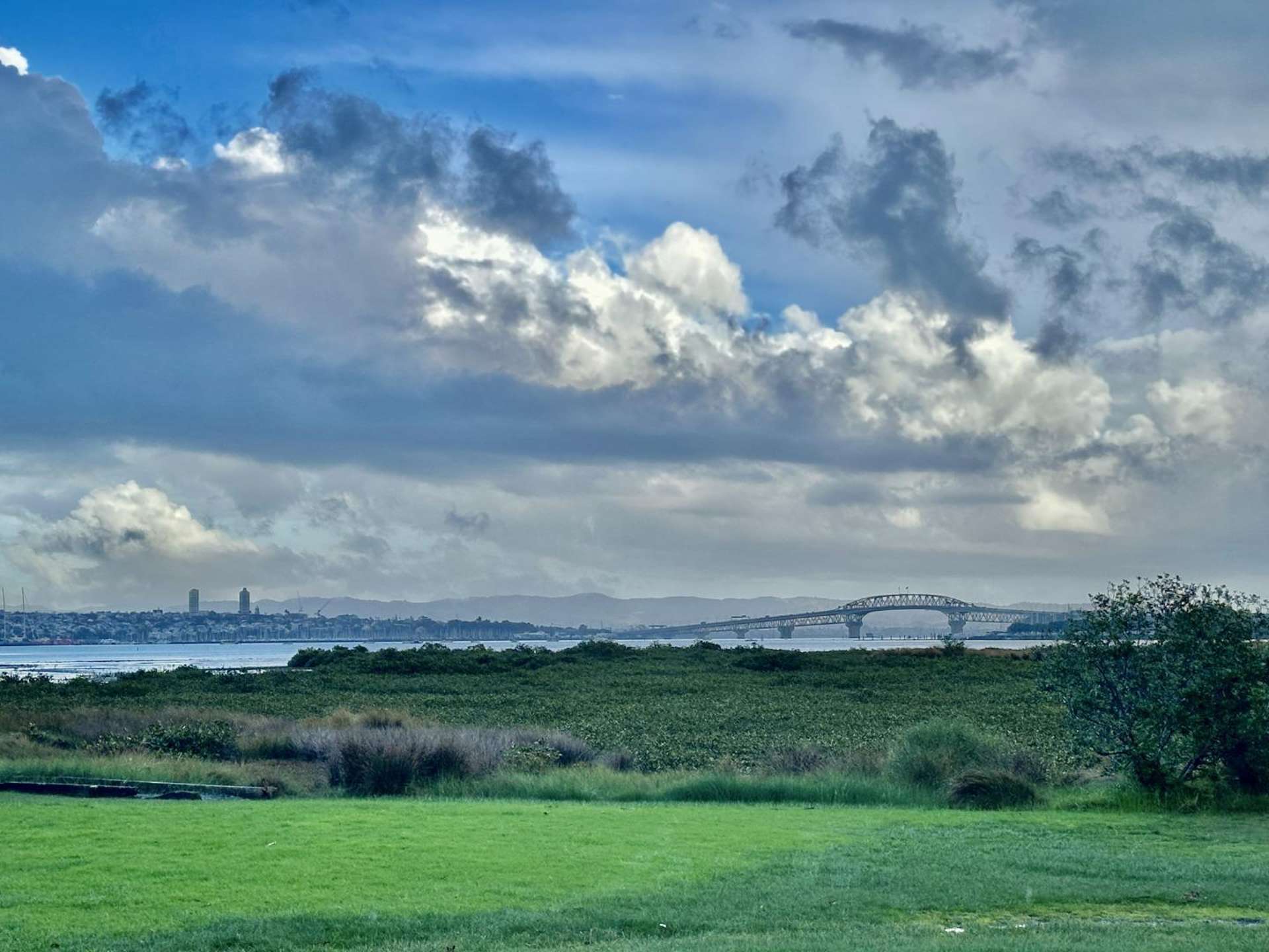 45d Kawerau Avenue Devonport_0