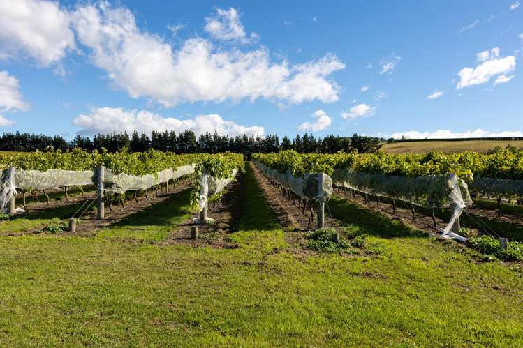 337 Mackenzies Road Waipara_8