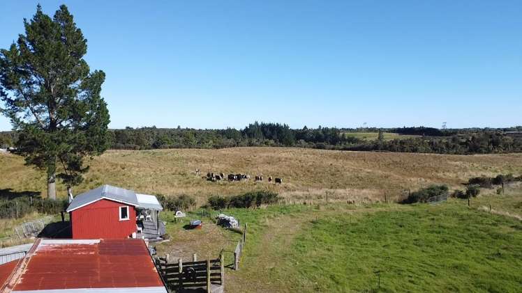 7868 Lower Buller Gorge Road_3