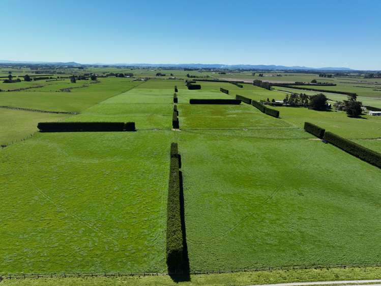 616 Woodlands Road Mokotua_2