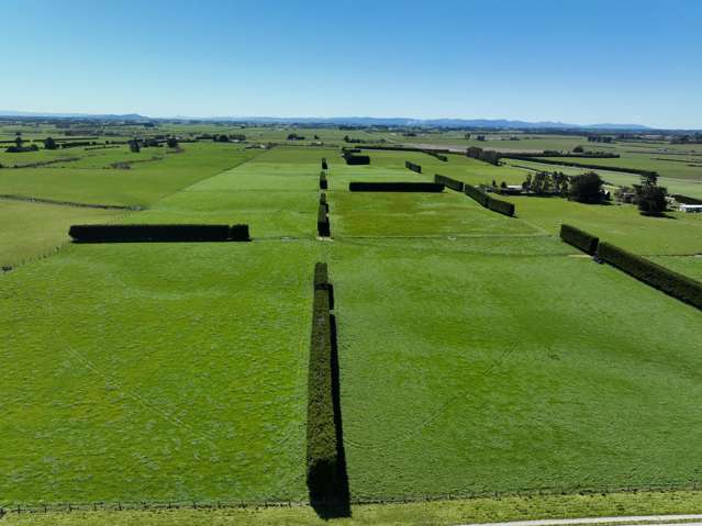 616 Woodlands Road Mokotua_2