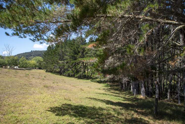 19 Lane Road Russell_6