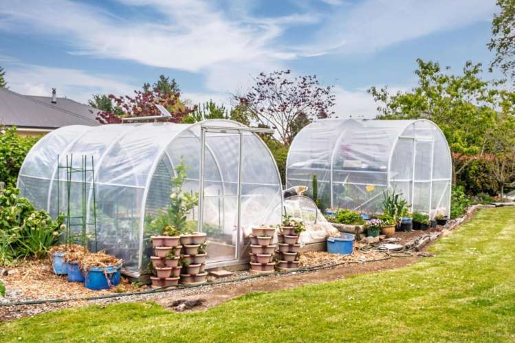 238 Talbot Street Geraldine_27