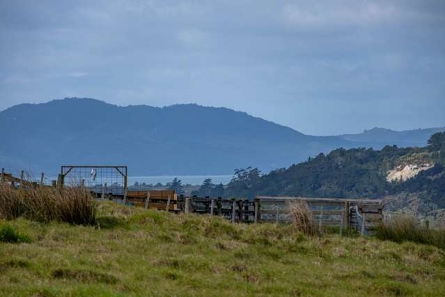 164 Tahanga Road Lake Ohia_2