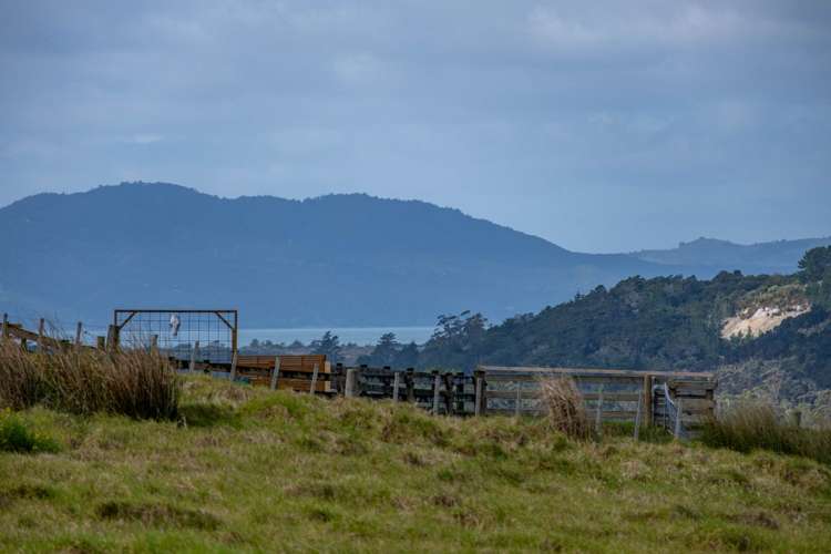 164 Tahanga Road Lake Ohia_2