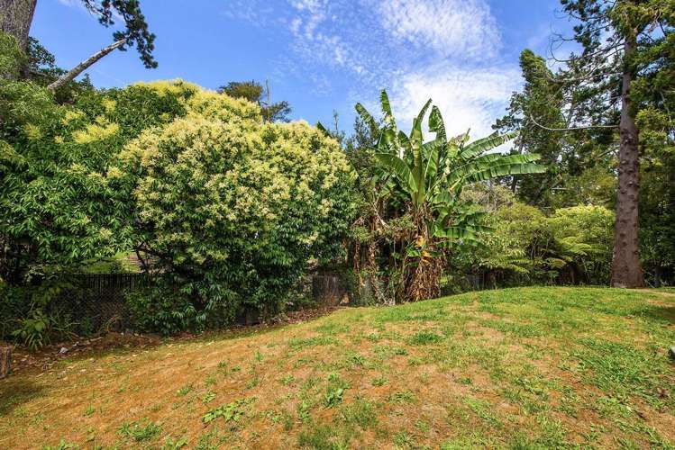 12a Withers Road Glen Eden_11