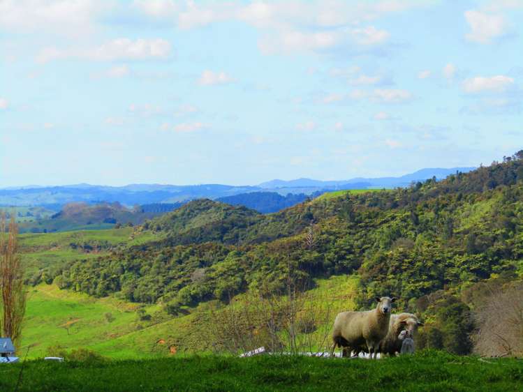 613c Fullerton Road Waitomo_1