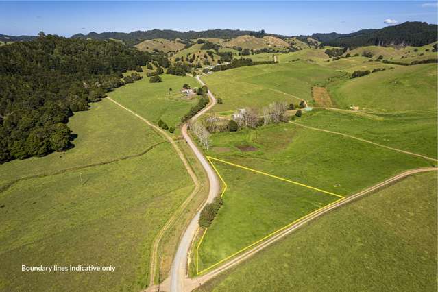 100 Lowe Road Hikurangi_1