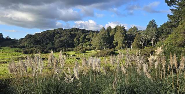 109 Hunua Road Drury_2