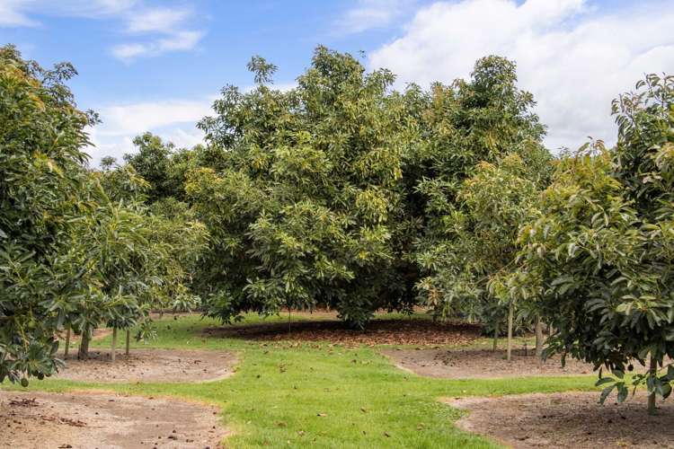 58 Rawaka Drive Katikati_30