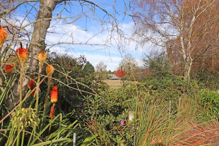 123 McKerrow Road, Waianakarua Oamaru_14