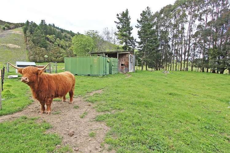 443 Tadmor Valley Road Tapawera_18