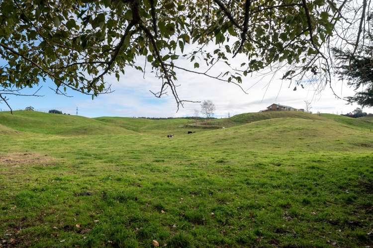 103 Tuhingamata Road Oruanui_20