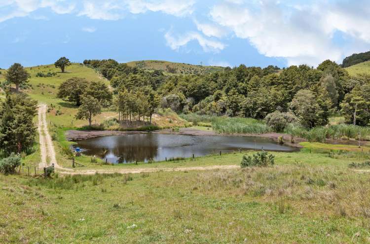 123 Homackey Road Matakohe_19