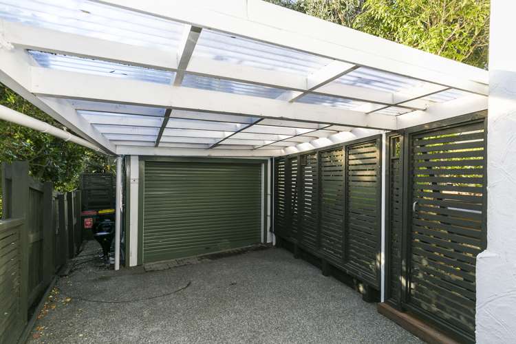 11 Walmer Street Hataitai_16