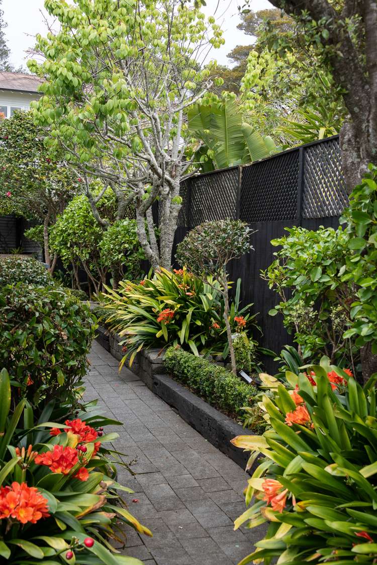 14 Paparoa Road Cockle Bay_24