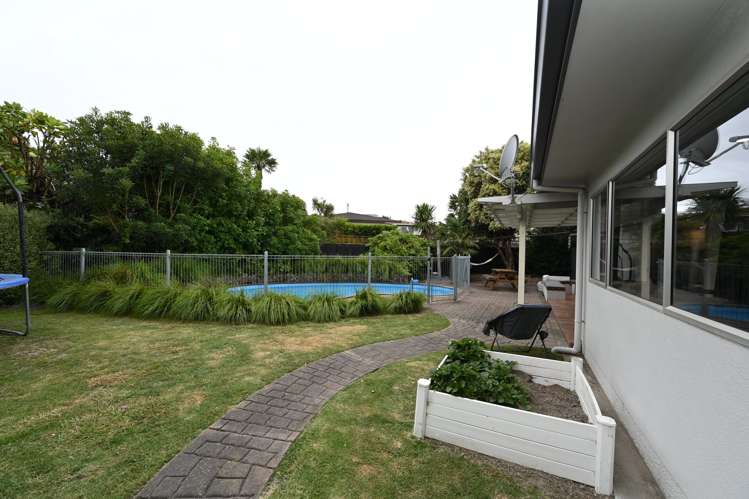 8 D'Arcy Place Taradale_15