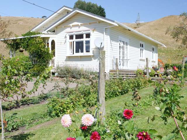 123 Waireka Road Papaiti_1