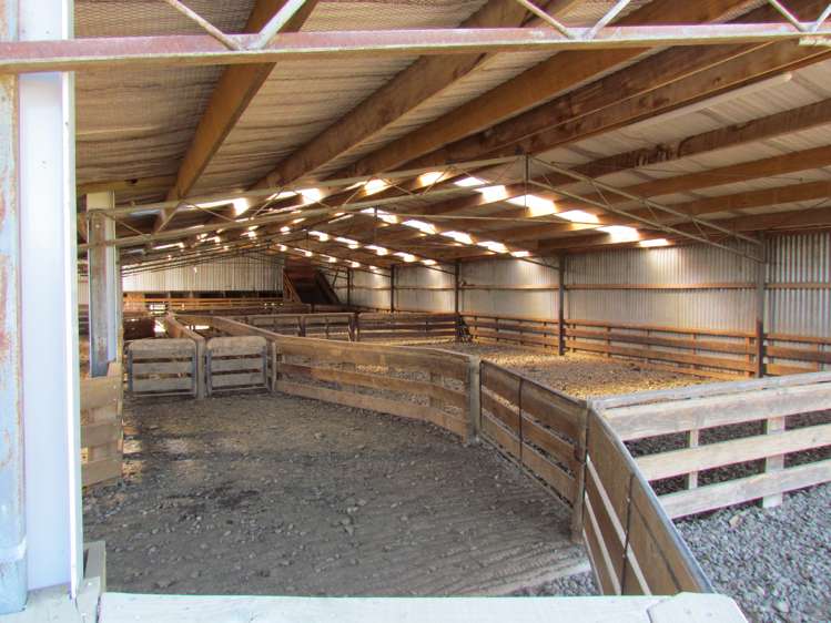 362 Fairfield Road Newland_20