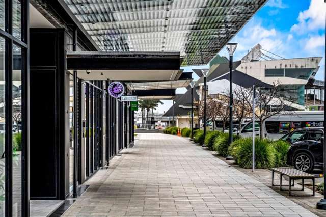 223 Greenlane West Epsom_1