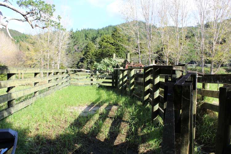 Lot 1 Sawyer Road Mangonui_7