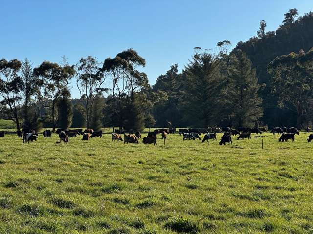 451 Umere Road Karamea_4