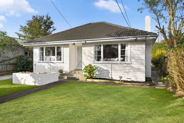 172 Nixon Street Hamilton East_1