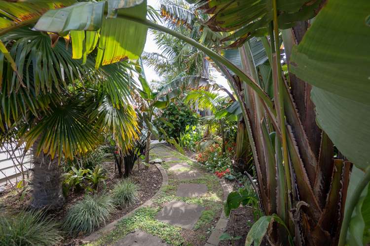 5 Acacia Court Whitianga_8