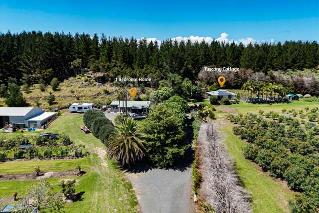 101 Turk Valley Road Waiharara_2