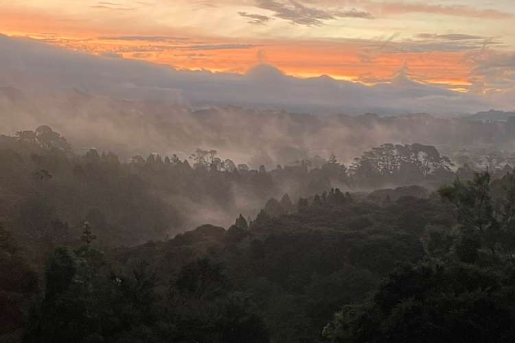 20 Phillip Avenue Glen Eden_23