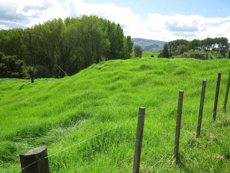 1877 Pipiwai Road Ruatangata_16