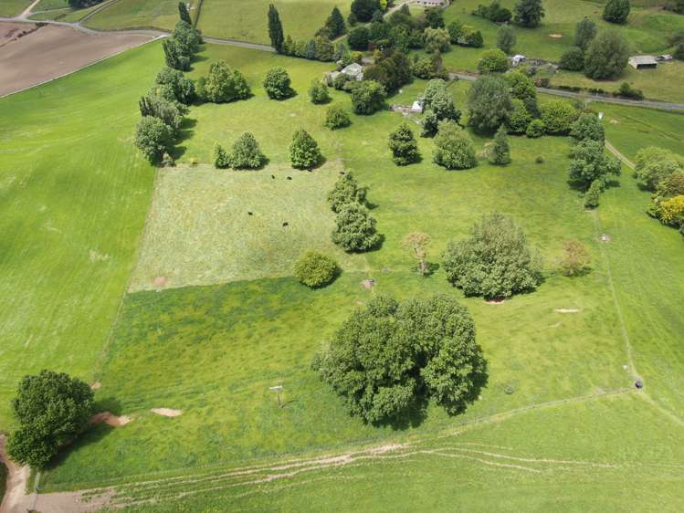 Whawharua Road Otorohanga_14