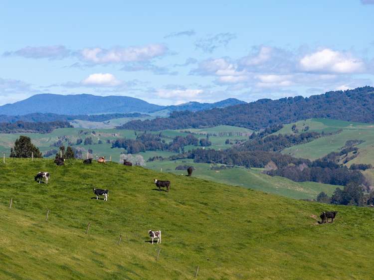 656 Waotu Road South Putāruru_21