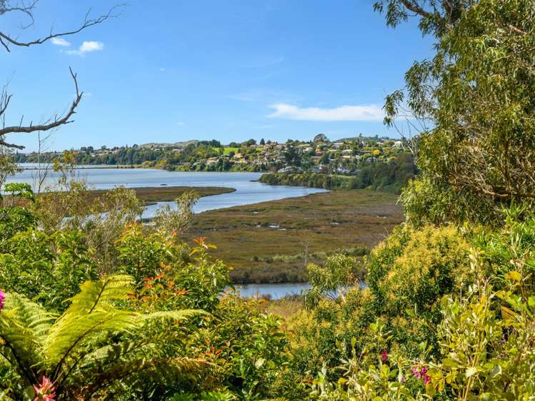 35 Waimapu Street Greerton_25