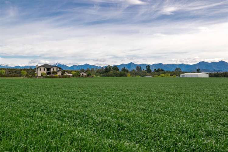 366 Tyntesfield Road Waihopai Valley_5