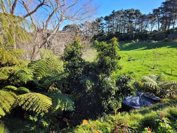 2007 South Road Pitone_22