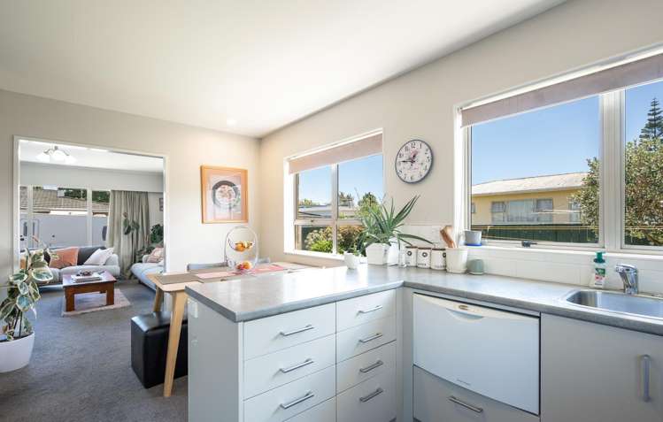 4/193 Songer Street_2