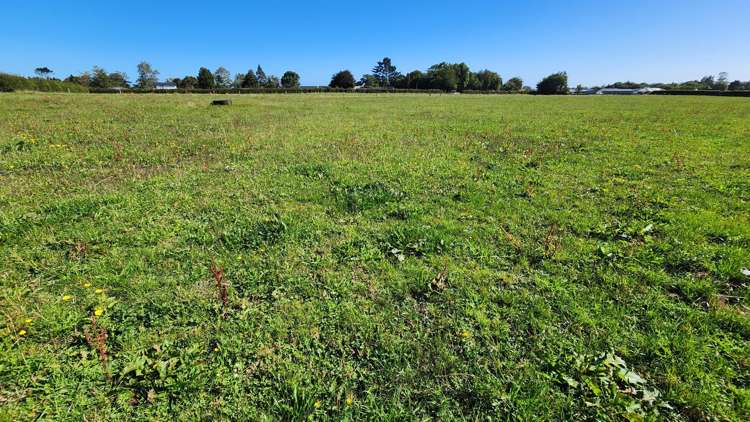 45 and 47 Windsor Road Inglewood_16