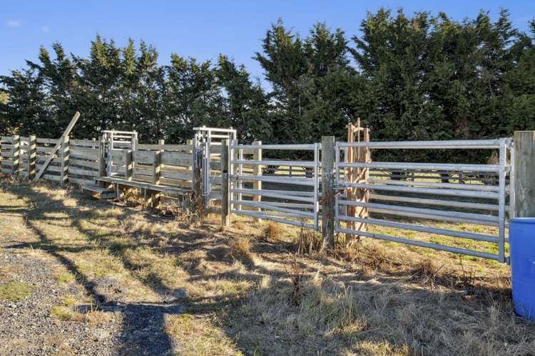 188 Mount Stoker Road Middlemarch_22