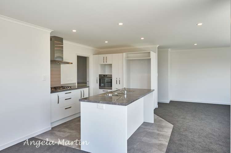 82 Pascal Street Palmerston North Central_5