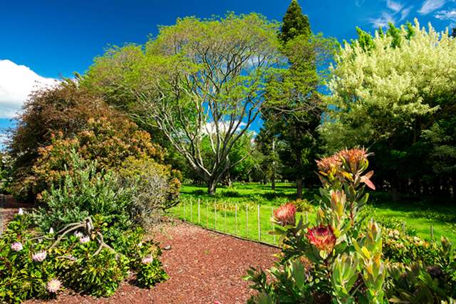 42 Wharekopae Road Patutahi_4