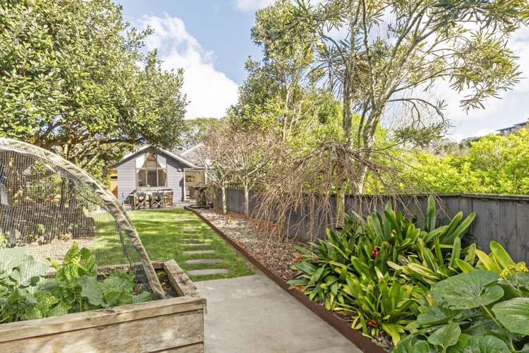 11 Halsey Drive Lynfield_5