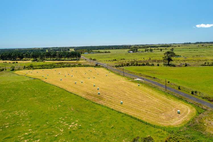 270 Wiremu Road Te Kiri_9