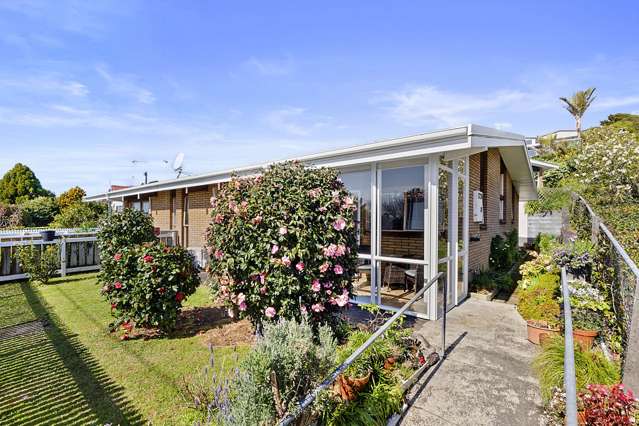 1/20 Rimu Street Strandon_4