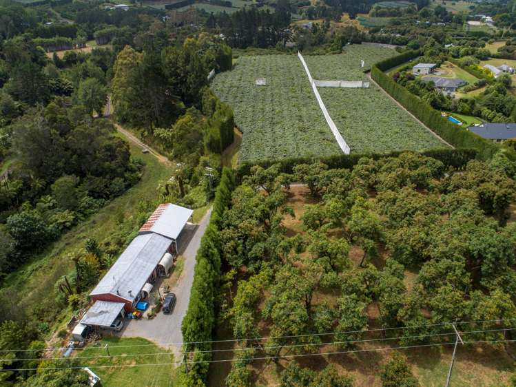 4a Ainsworth Road Wairoa_6