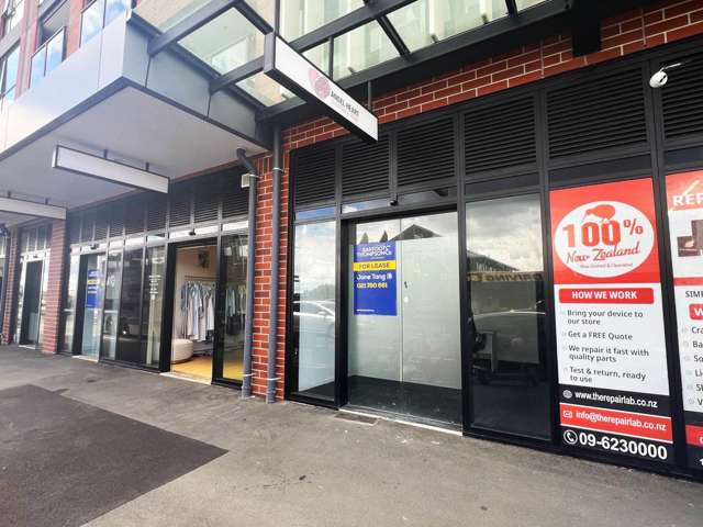 G03/428 Dominion Road Mt Eden_1