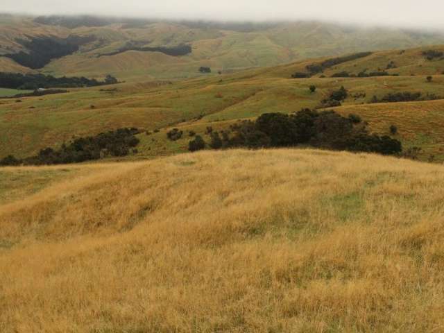 912 Range Road Pongaroa_4