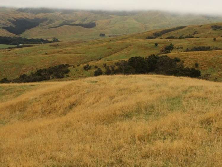 912 Range Road Pongaroa_4